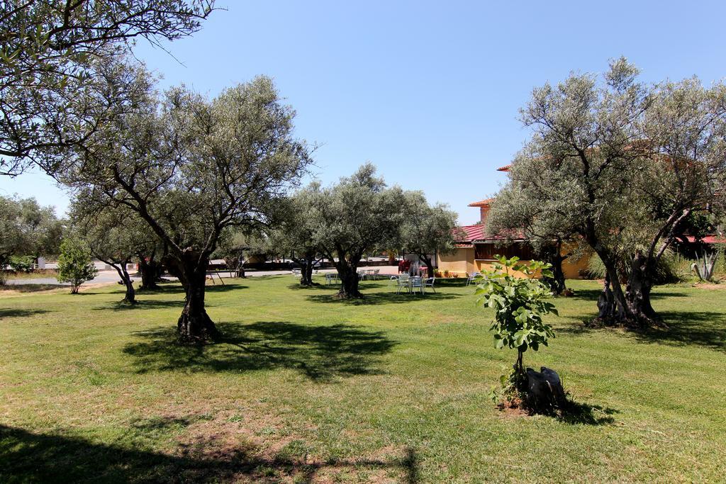 Hotel Rural Hojaranzos Техеда-де-Тьетар Экстерьер фото